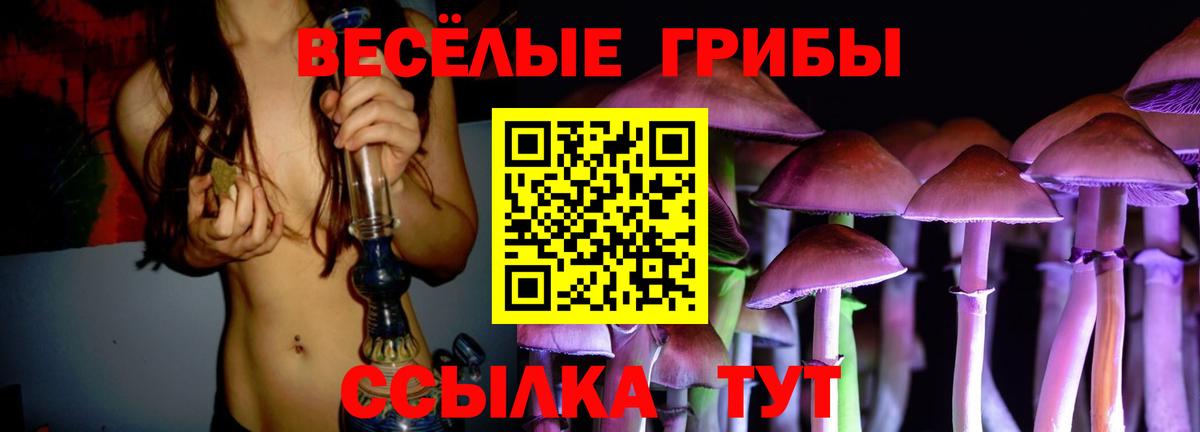 Усть-Джегута  Галлюциногенные грибы Psilocybe  Вход с VPN  Псилоцибиновые грибы Psilocybine cubensis 