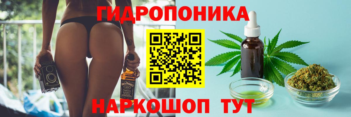 Усть-Джегута  Бошки Шишки конопля  Каннабис гибрид  Вход с VPN 